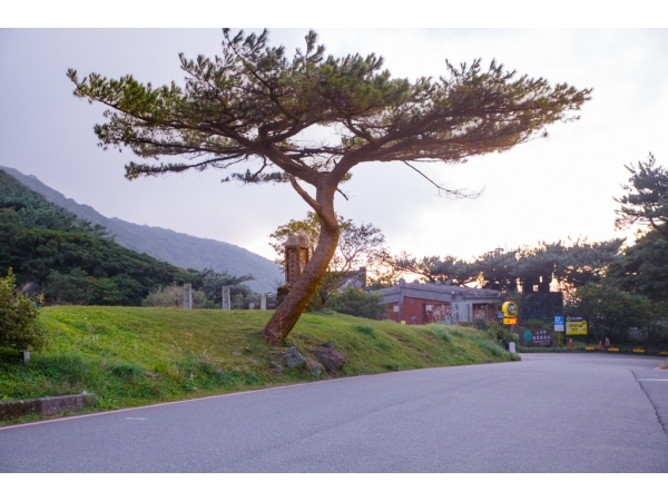 陽明山二子坪一號停車場