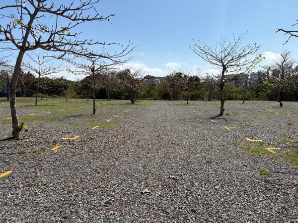 Kenting Temporary Parking Lot